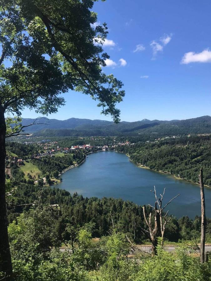 Appartamento Apartman Patricia Fužine Esterno foto
