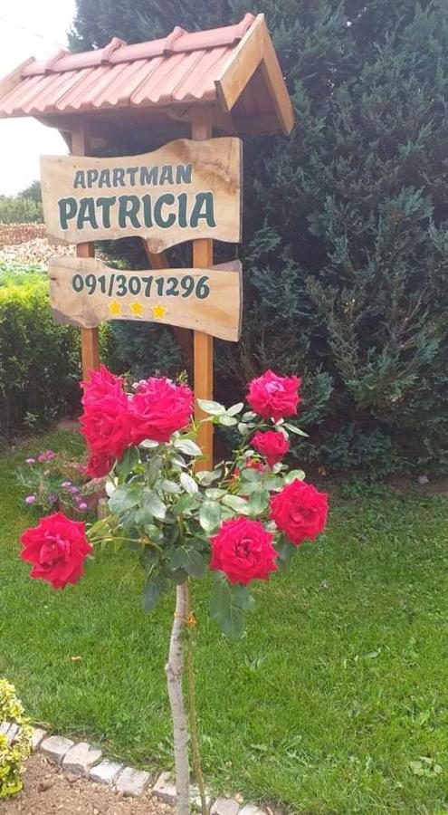 Appartamento Apartman Patricia Fužine Esterno foto